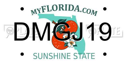 DMGJ19 Florida License Plate