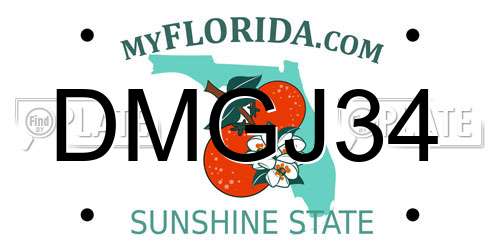 DMGJ34 Florida License Plate