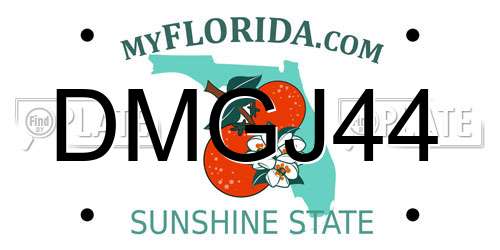 DMGJ44 Florida License Plate