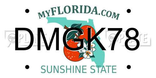 DMGK78 Florida License Plate