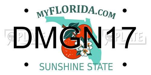 DMGN17 Florida License Plate