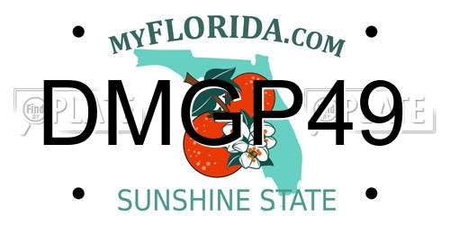 DMGP49 Florida License Plate