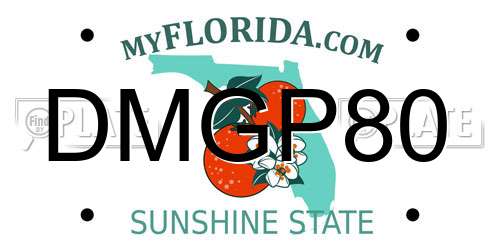 DMGP80 Florida License Plate