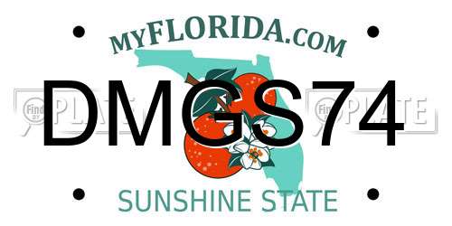 DMGS74 Florida License Plate