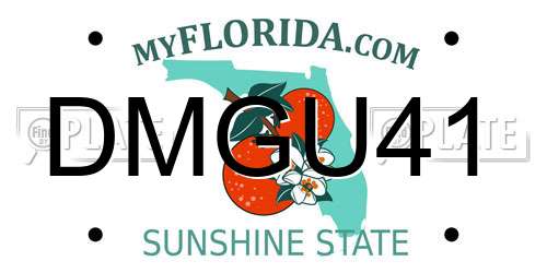 DMGU41 Florida License Plate