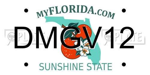 DMGV12 Florida License Plate