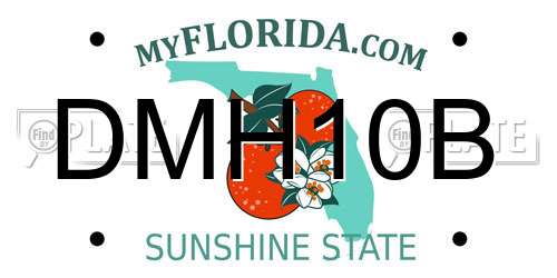 DMH10B Florida License Plate