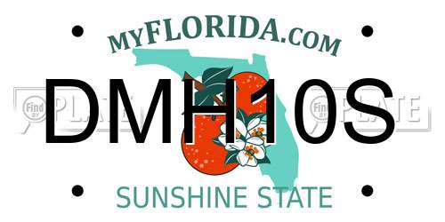 DMH10S Florida License Plate