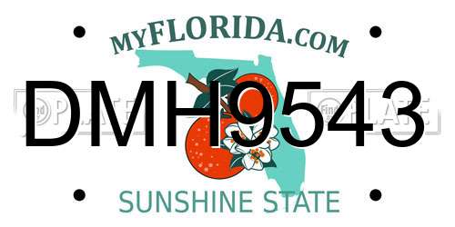 DMH9543 Florida License Plate