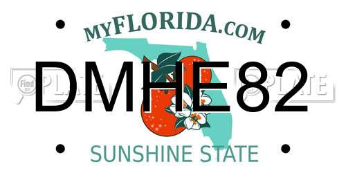 DMHE82 Florida License Plate