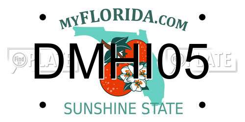 DMHI05 Florida License Plate