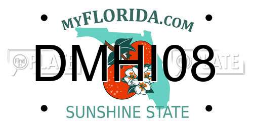DMHI08 Florida License Plate