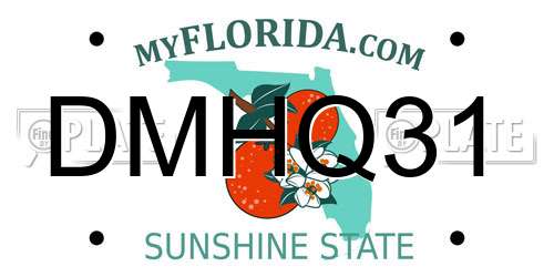 DMHQ31 Florida License Plate