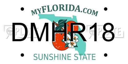 DMHR18 Florida License Plate