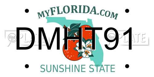 DMHT91 Florida License Plate