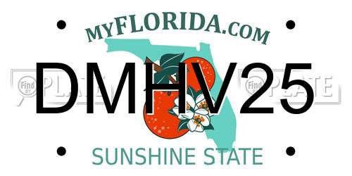 DMHV25 Florida License Plate
