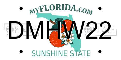 DMHW22 Florida License Plate
