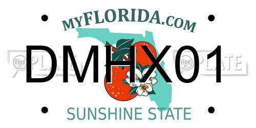DMHX01 Florida License Plate