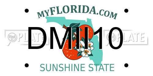 DMII10 Florida License Plate
