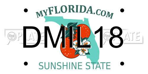 DMIL18 Florida License Plate