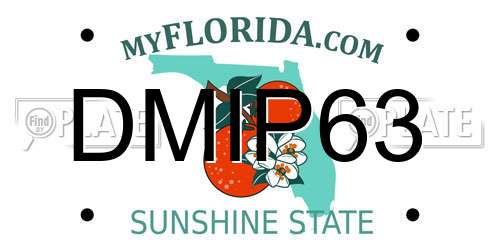 DMIP63 Florida License Plate