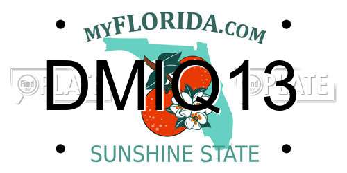 DMIQ13 Florida License Plate