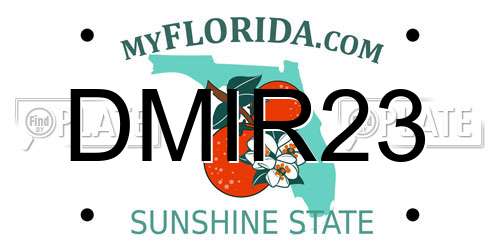 DMIR23 Florida License Plate