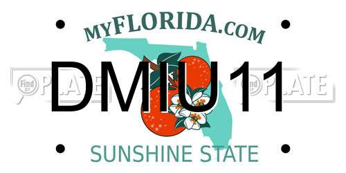 DMIU11 Florida License Plate