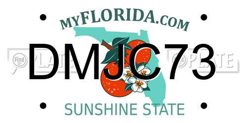 DMJC73 Florida License Plate