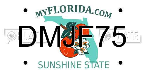 DMJF75 Florida License Plate