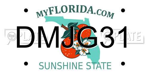 DMJG31 Florida License Plate
