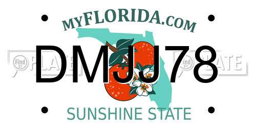DMJJ78 Florida License Plate