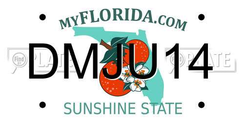 DMJU14 Florida License Plate