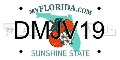 DMJV19 Florida License Plate