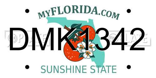 DMK1342 Florida License Plate