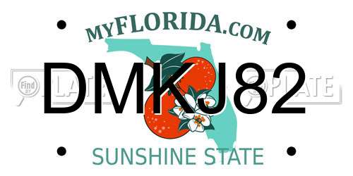 DMKJ82 Florida License Plate