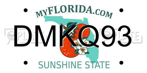 DMKQ93 Florida License Plate