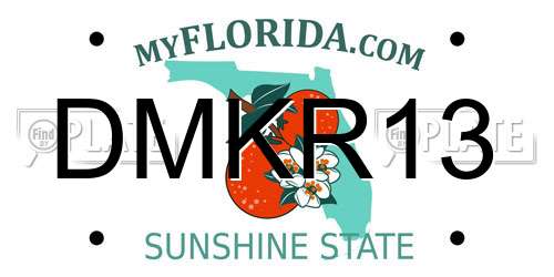 DMKR13 Florida License Plate