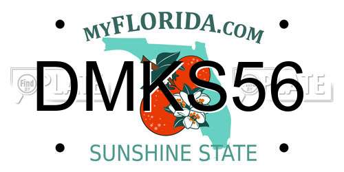 DMKS56 Florida License Plate