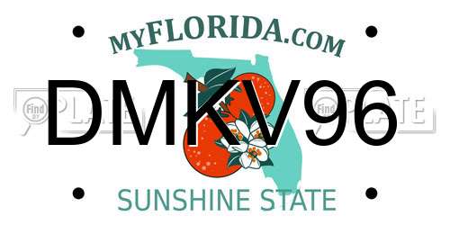 DMKV96 Florida License Plate