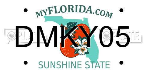 DMKY05 Florida License Plate