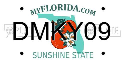 DMKY09 Florida License Plate