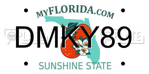 DMKY89 Florida License Plate