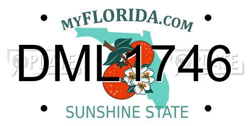 DML1746 Florida License Plate