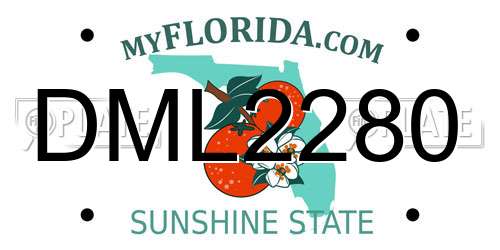 DML2280 Florida License Plate