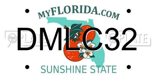 DMLC32 Florida License Plate