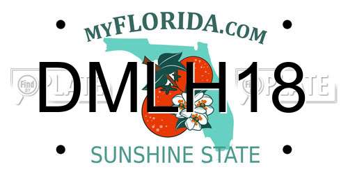 DMLH18 Florida License Plate