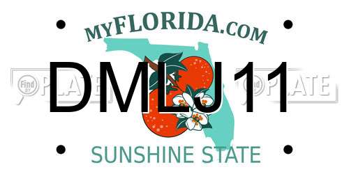 DMLJ11 Florida License Plate