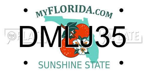 DMLJ35 Florida License Plate