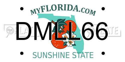 DMLL66 Florida License Plate